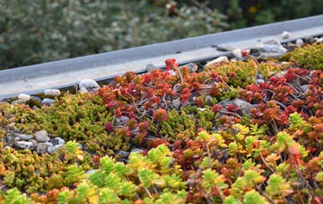 the cost of Greatham green roof installation