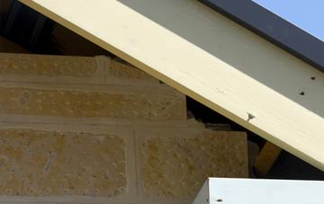 soffit repair Greatham